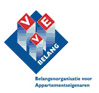 VVE logo